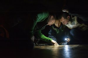 Manejo y uso seguro de los plaguicidas urbanos - Inspeccion Inicial