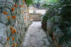 flor de cempasúchil 03