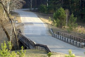 Poda de Arboles Jóvenes