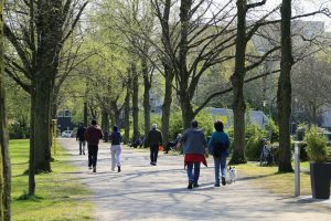 Poda de Arboles Maduros