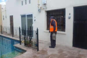 Servicios Lusal - Control de Plagas y Fumigacion